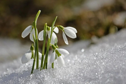 Cum va fi vremea astazi, dar si in urmatoarele zile. Prognoza meteo - FOTO
