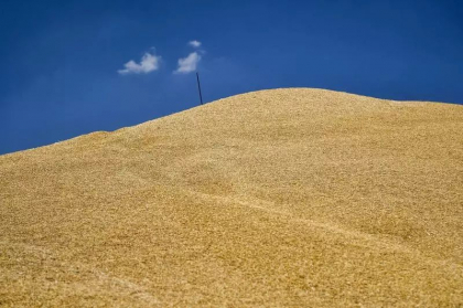 Razboiul din Ucraina ar putea genera o criza alimentara „la scara globala”, avertizeaza un oficial francez Razboiul din Ucraina ar putea genera o criza alimentara „la scara globala”, avertizeaza un oficial francez