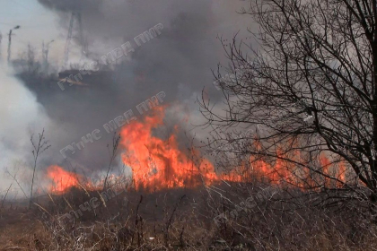Incediu de vegetatie la Tiraspol. Flacarile s-au extins pana la garajele ce se aflau in apropierea gunoistei - FOTO