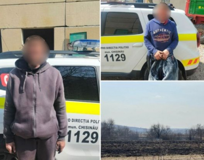 Doi barbati au fost retinuti de politie, dupa ce au incediat miristea din orasul Singera - VIDEO Doi barbati au fost retinuti de politie, dupa ce au incediat miristea din orasul Singera - VIDEO