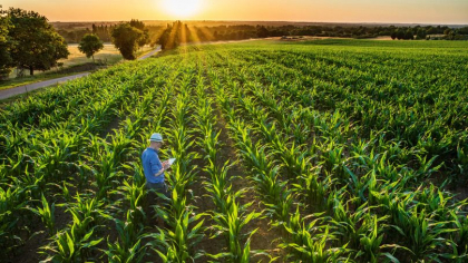 Guvernul va compensa 30% din valoarea accizei la motorina pentru agricultori