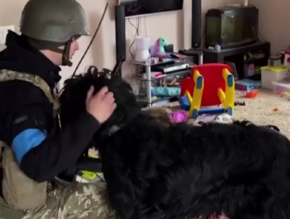 Soldatii ucraineni au salvat un caine abandonat intr-un apartament parasit din Kiev - VIDEO Soldatii ucraineni au salvat un caine abandonat intr-un apartament parasit din Kiev - VIDEO