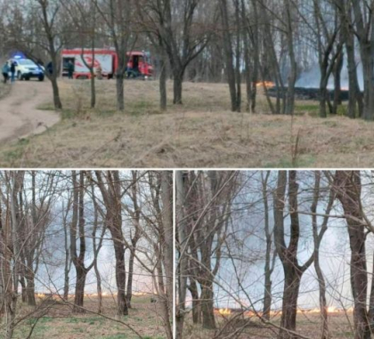 Un minor ar fi provocat un incendiu intr-un parc din capitala. Politia: „Baiatul a spus ca a gasit o bricheta si a vrut sa faca o gluma”