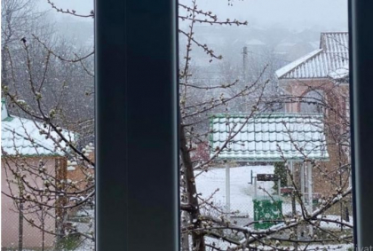 Ninge la Soroca. Fulgii de zapada au reusit sa acopere drumurile, casele, dar si florile din gradina - FOTO