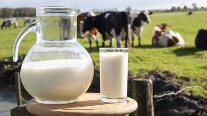 Au fost aprobate modificari privind principiile de subventionare pentru agricultori. Guvernul: Vor fi incurajate investitiile pentru producerea laptelui Au fost aprobate modificari privind principiile de subventionare pentru agricultori. Guvernul: Vor fi incurajate investitiile pentru producerea laptelui