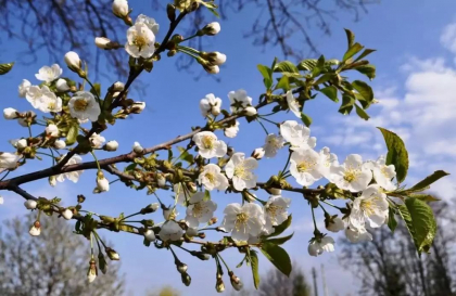 Vremea se incalzeste. Ce temperaturi ne asteapta astazi, dar si in urmatoarele zile - FOTO