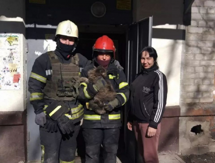 O pisica a supravietuit doua saptamani sub o canapea, la etajul 4 dintr-un bloc bombardat de rusi, in Harkov - VIDEO