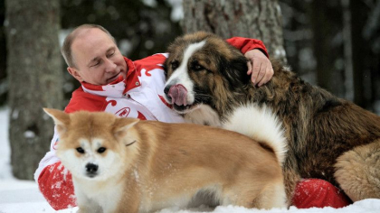 Cine sunt „superfanii” lui Putin care incearca sa promoveze imaginea liderului rus pe Facebook (investigatie BBC)
Cine sunt „superfanii” lui Putin care incearca sa promoveze imaginea liderului rus pe Facebook (investigatie BBC)