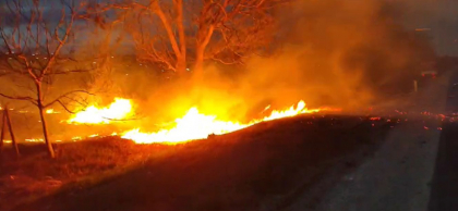 Incendiu de vegetatie la Singerei. Un camp cu vita de vie a fost cuprins de flacari - VIDEO