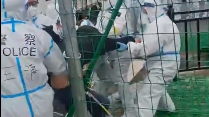 Imaginile disperarii in Shanghai. Pretul strategiei Zero-Covid pana miercuri: oameni infometati batuti pe strazi, animale omorate - VIDEO