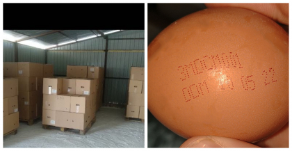 Un lot cu oua - retras din comert de Agentia Nationala pentru Siguranta Alimentelor dupa depistarea salmonelei - FOTO Un lot cu oua - retras din comert de Agentia Nationala pentru Siguranta Alimentelor dupa depistarea salmonelei - FOTO