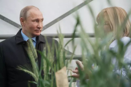 Vladimir Putin lauda recolta „record” de grau a Rusiei in timp ce trupele sale fura cereale din Ucraina