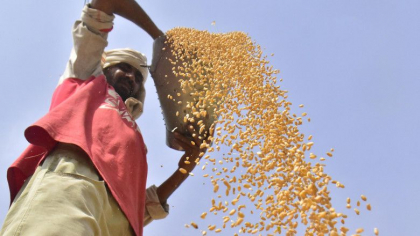 Pretul graului a facut un salt major dupa ce India a interzis exportul de cereale. Situatia creeaza nervozitate la nivelul G7