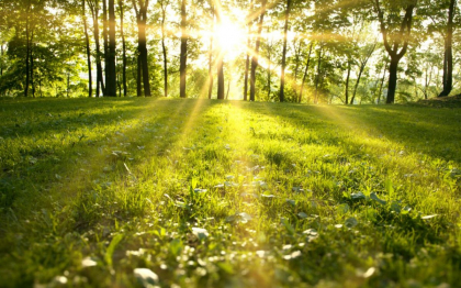 Soare si maxime de pana la +25 grade Celsius. Cum va fi vremea astazi, dar si in urmatoarele zile. Prognoza meteo - FOTO Soare si maxime de pana la +25 grade Celsius. Cum va fi vremea astazi, dar si in urmatoarele zile. Prognoza meteo - FOTO