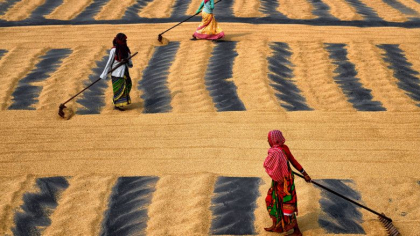 Sedinta ONU. Toata lumea asteapta un raspuns de la India: mai vrea sa hraneasca intreaga lume asa cum a promis? Sedinta ONU. Toata lumea asteapta un raspuns de la India: mai vrea sa hraneasca intreaga lume asa cum a promis?