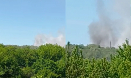 Incendiu de vegetatie la Soroca. Momentul in care o gunoiste din preajma unei paduri este cuprinsa de flacari - VIDEO