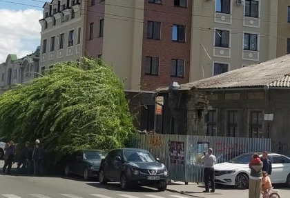 Vantul continua sa faca ravagii. Inca un copac a cazut peste mai multe masini parcate, in capitala - FOTO Vantul continua sa faca ravagii. Inca un copac a cazut peste mai multe masini parcate, in capitala - FOTO