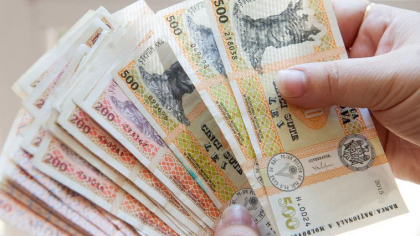 Doi directori de companii din Balti – trimisi in judecata, dupa ce si-ar fi mintit clientii la vanzarea si cumpararea semintelor de porumb si de floarea soarelui, cu prejudicii de peste 1,5 milioane lei Doi directori de companii din Balti – trimisi in judecata, dupa ce si-ar fi mintit clientii la vanzarea si cumpararea semintelor de porumb si de floarea soarelui, cu prejudicii de peste 1,5 milioane lei