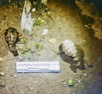 Mai multe arme si doua grenade - gasite pe malul Nistrului, in regiunea transnistreana - FOTO