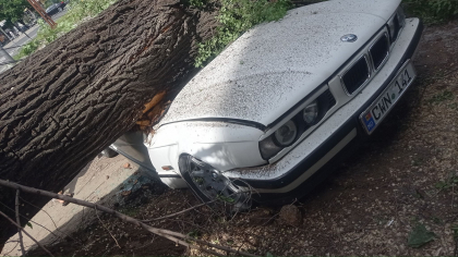 Copacii continua sa cada pe strazile din capitala. O masina - distrusa, iar un pilon de electricitate - doborat - FOTO Copacii continua sa cada pe strazile din capitala. O masina - distrusa, iar un pilon de electricitate - doborat - FOTO