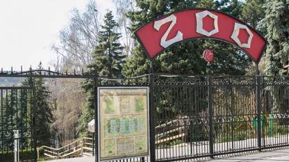 De Ziua Copiilor, intrarea la Gradina Zoologica pentru copiii de pana la 16 ani va fi gratuita De Ziua Copiilor, intrarea la Gradina Zoologica pentru copiii de pana la 16 ani va fi gratuita