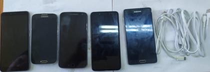 Cinci telefoane mobile, care urmau sa fie transmise unui detinut - gasite de oamenii legii in Penitenciarul din Lipcani. Unde au fost ascunse acestea - FOTO