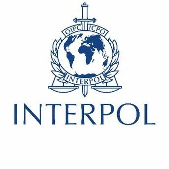 Interpolul, preocupat de afluxul de arme donate Ucrainei care ar putea ajunge in mainile infractorilor din Europa
