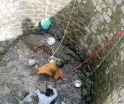 Cum isi risca viata doua femei din India pentru a face rost de apa - VIDEO