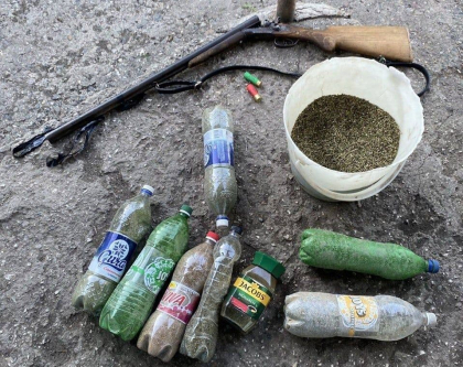 Vindeau marijuana la Glodeni. Trei barbati - retinuti pentru 72 de ore - FOTO Vindeau marijuana la Glodeni. Trei barbati - retinuti pentru 72 de ore - FOTO