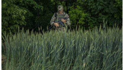 Razboiul Rusiei va priva lumea de trei recolte de grau din Ucraina. Ministrul agriculturii: „Vom cadea de pe piata mult timp”
Razboiul Rusiei va priva lumea de trei recolte de grau din Ucraina. Ministrul agriculturii: „Vom cadea de pe piata mult timp”