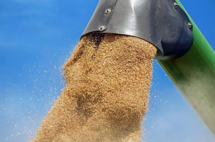 Ministrii de externe din statele UE cauta solutii pentru a scoate din Ucraina milioane de tone de cereale blocate de Rusia Ministrii de externe din statele UE cauta solutii pentru a scoate din Ucraina milioane de tone de cereale blocate de Rusia