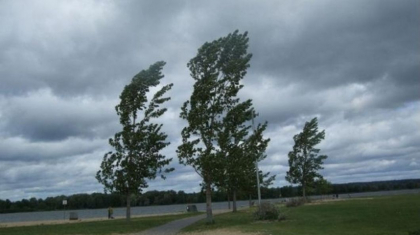 Ultima ora. Cod galben de vant puternic. Anuntul facut de meteorologi - FOTO