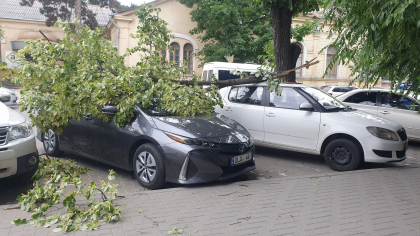 Vantul puternic da batai de cap unor soferi. O creanga a cazut peste doua masini, in capitala - FOTO Vantul puternic da batai de cap unor soferi. O creanga a cazut peste doua masini, in capitala - FOTO