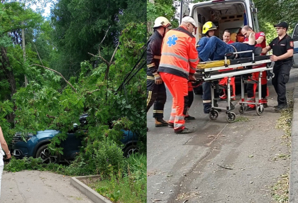 Clipe de groaza pentru un barbat din capitala. A ramas blocat, dupa ce un copac a cazut peste el. Momentul in care acesta este transportat la spital - VIDEO Clipe de groaza pentru un barbat din capitala. A ramas blocat, dupa ce un copac a cazut peste el. Momentul in care acesta este transportat la spital - VIDEO