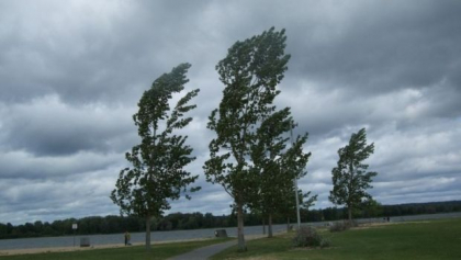 Ultima ora. Cod GALBEN de vant puternic. Anuntul facut de meteorologi cu putin timp in urma - FOTO