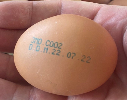 Un lot de oua cu risc de prezenta a Salmonellei - retras de pe piata. ANSA: Cumparatorii pot sa returneze produsele magazinului Un lot de oua cu risc de prezenta a Salmonellei - retras de pe piata. ANSA: Cumparatorii pot sa returneze produsele magazinului