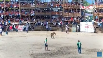 Sute de victime in Columbia, dupa ce o tribuna s-a prabusit in timpul unei coride - VIDEO Sute de victime in Columbia, dupa ce o tribuna s-a prabusit in timpul unei coride - VIDEO