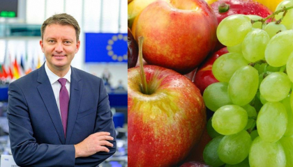 Europarlamentarul Siegfried Muresan: „Dam unda verde pentru cresterea exporturilor de produse agricole din Republica Moldova spre Uniunea Europeana” Europarlamentarul Siegfried Muresan: „Dam unda verde pentru cresterea exporturilor de produse agricole din Republica Moldova spre Uniunea Europeana”