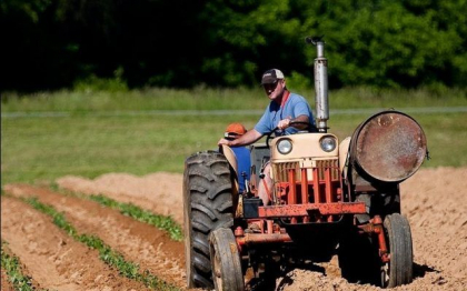 China detine 10% din terenurile agricole ale Ucrainei – analiza Wall Street Journal China detine 10% din terenurile agricole ale Ucrainei – analiza Wall Street Journal