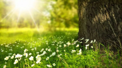Vreme frumoasa in toata tara. Temperaturile vor ajunge pana la +35 de grade Celsius. Prognoza meteo - FOTO