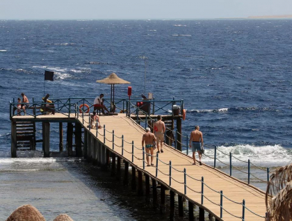 Marturii cutremuratoare ale turistilor, dupa ce doua femei au fost ucise de rechini. Cum au reactionat salvamarii 