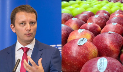 Parlamentul European a votat dublarea cotelor de export la sapte categorii de produse agricole din Republica Moldova in Uniunea Europeana 
