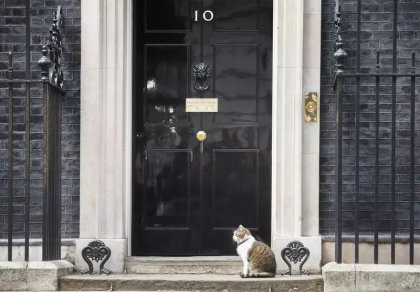 Cine i-ar putea lua locul lui Boris Johnson Cine i-ar putea lua locul lui Boris Johnson