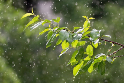 Ploi insotite de descarcari electrice in centrul si sudul tarii si maxime de pana la +28 de grade Celsius. Cum va fi vremea astazi, dar si in urmatoarele zile. Prognoza meteo - FOTO
