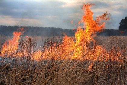Ultima ora. Cod GALBEN de pericol exceptional de incendiu. Anuntul facut de meteorologi cu putin timp in urma - FOTO Ultima ora. Cod GALBEN de pericol exceptional de incendiu. Anuntul facut de meteorologi cu putin timp in urma - FOTO
