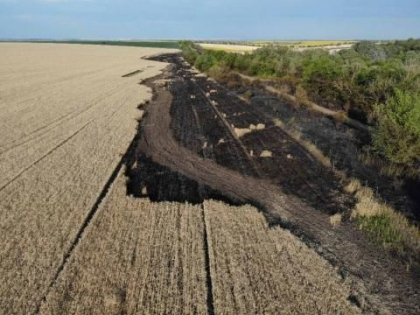 Un lan de culturi agricole - mistuit de flacari, la Anenii Noi. Ce suprafata a fost afectata - FOTO
Un lan de culturi agricole - mistuit de flacari, la Anenii Noi. Ce suprafata a fost afectata - FOTO