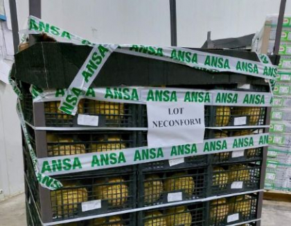 Atentie, consumatori. Un lot de pepene galben cu nivel ridicat de nitrati - retras de pe piata. Recomandarile ANSA - FOTO