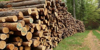 Ministerul Mediului cere sprijinul reprezentantilor administratiei publice pentru asigurarea populatiei cu lemne de foc la iarna