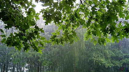 Cer noros si ploi in nordul tarii. Cum va fi vremea astazi, dar si in urmatoarele zile. Prognoza meteo - FOTO
