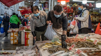 O bacterie care provoaca holera a fost gasita intr-o carapace de testoasa, intr-o piata din Wuhan. Oamenii se tem de o noua epidemie O bacterie care provoaca holera a fost gasita intr-o carapace de testoasa, intr-o piata din Wuhan. Oamenii se tem de o noua epidemie